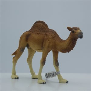 DROMADAIRE SCHLEICH